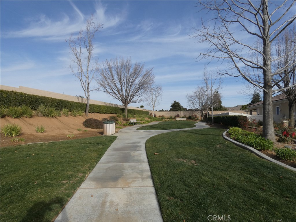 1776 Desert Almond Way