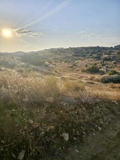 Not Applicable-1 - Land