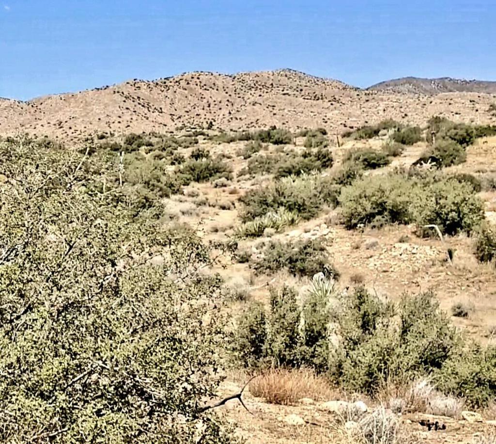 Not Applicable-1 - Land