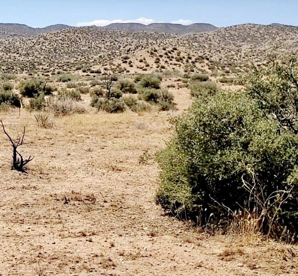 Not Applicable-1 - Land