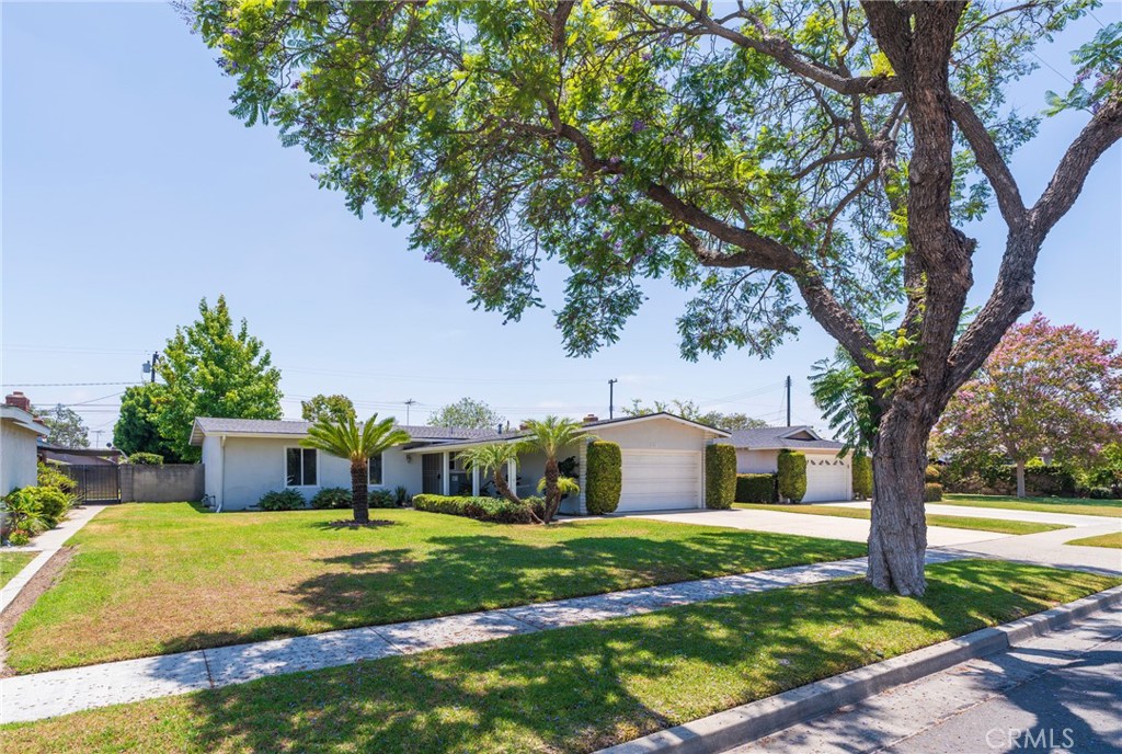 3122 W Teranimar