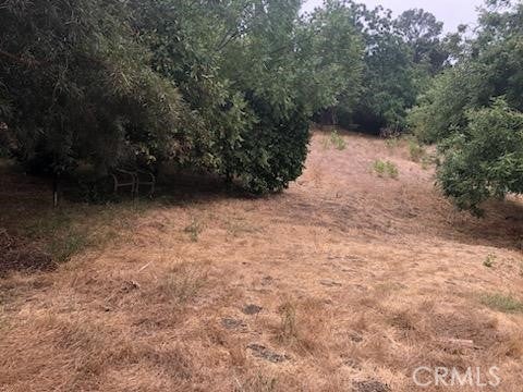 3708 Richardson Drive