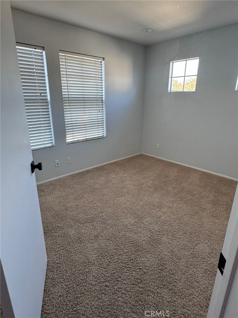 44 Sagebrush