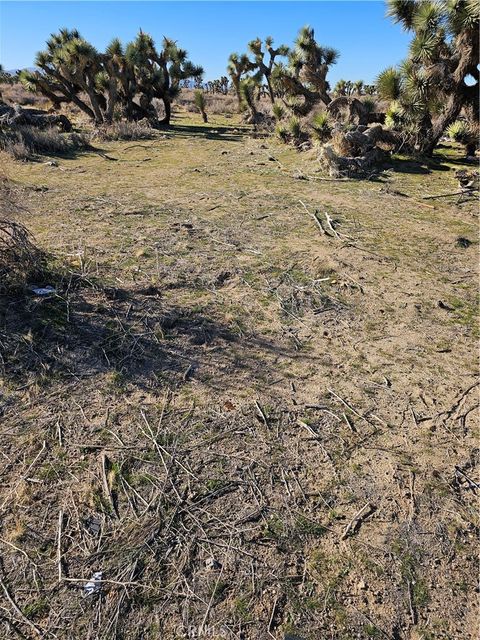 Photo of 0 DIVISION ST, Palmdale, CA 93550 (MLS # SR25266653)