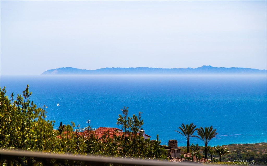 1 Shell Beach, Newport Coast CA 92657 - Photo 51