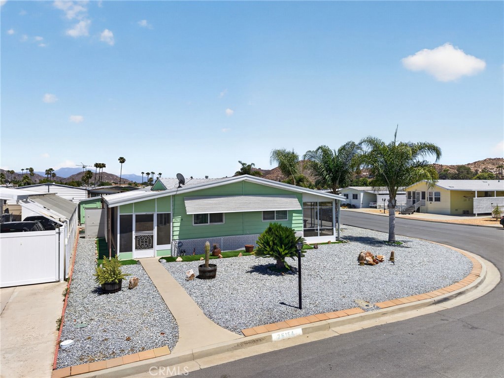 26164 Kentia Palm
