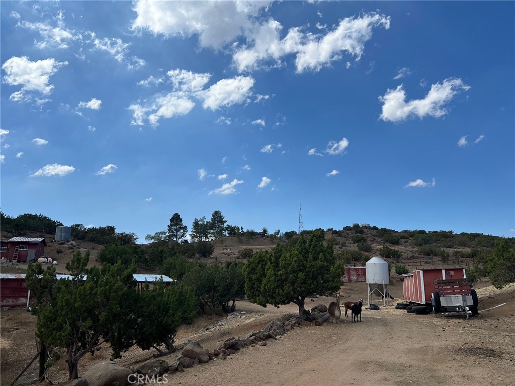 Custom Acton (CACTO) - Residential