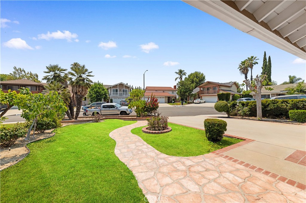 23407 Mane Drive