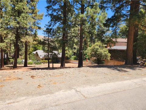 Photo of 0 Wrightwood Drive, Wrightwood, CA 92397 (MLS # HD26133589)