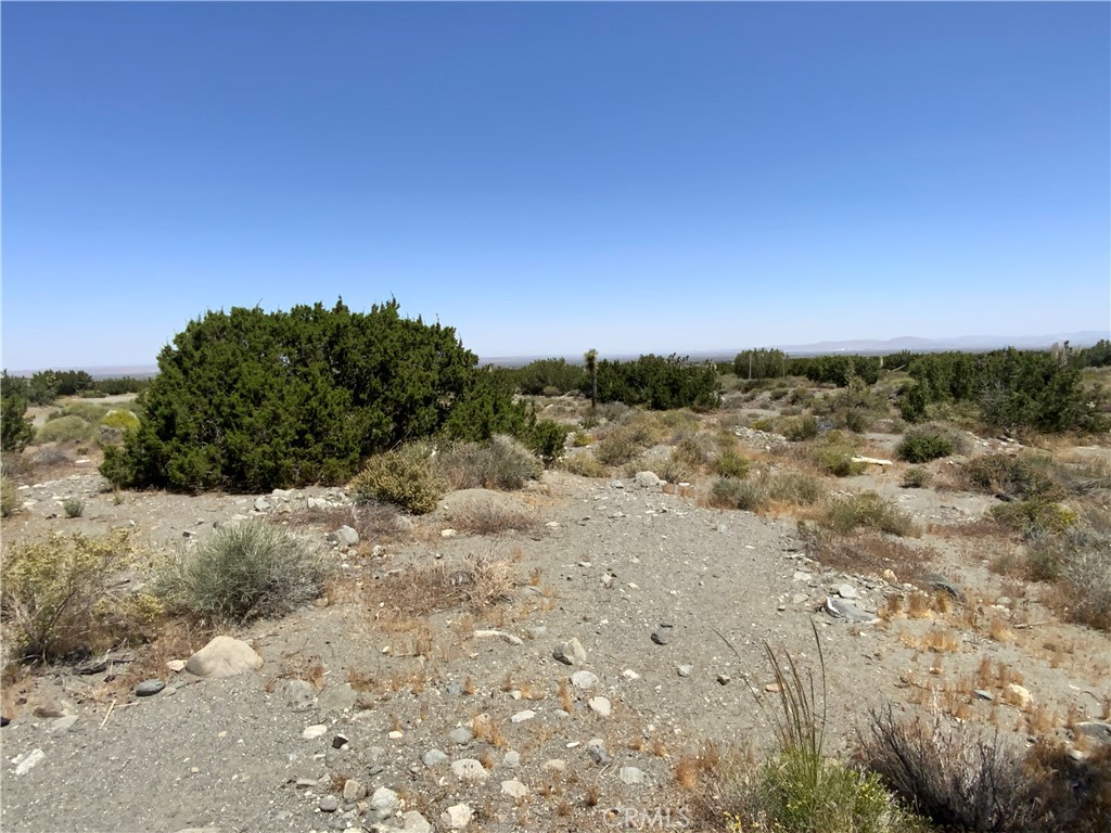 2975 Yucca Terrace Drive