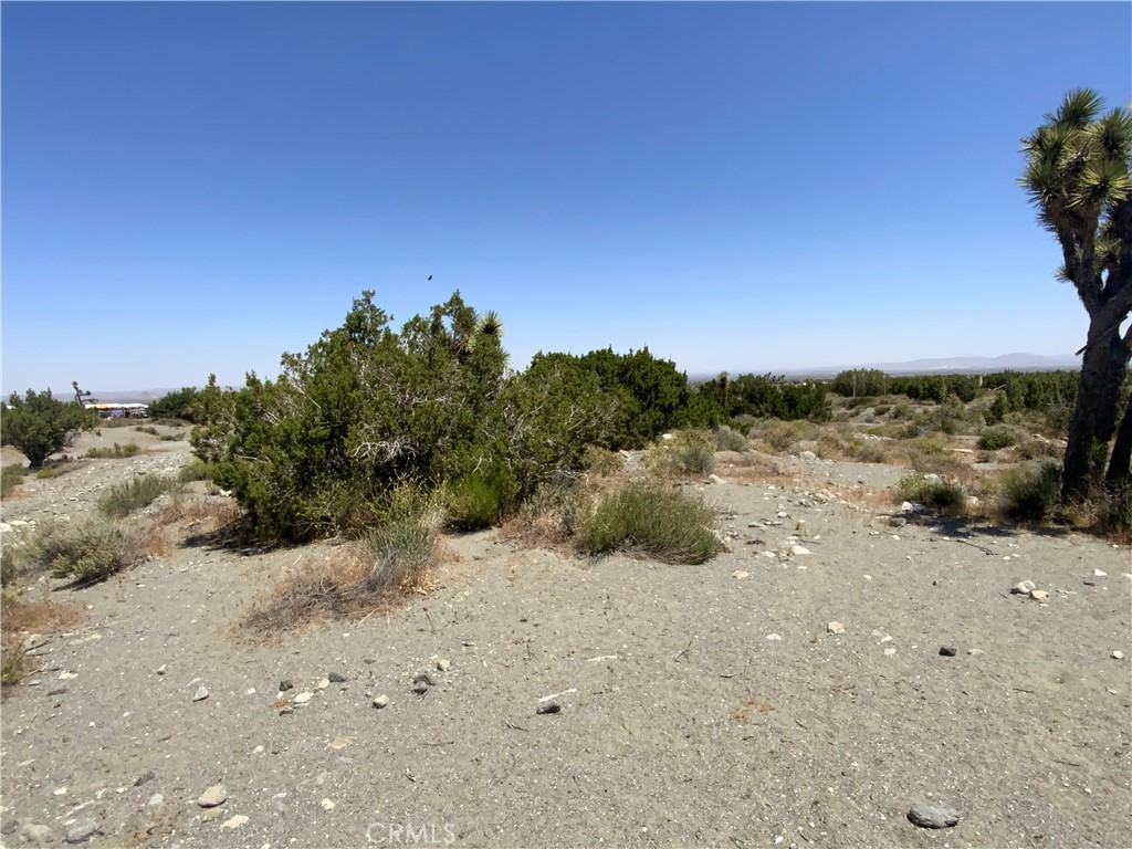 2975 Yucca Terrace Drive