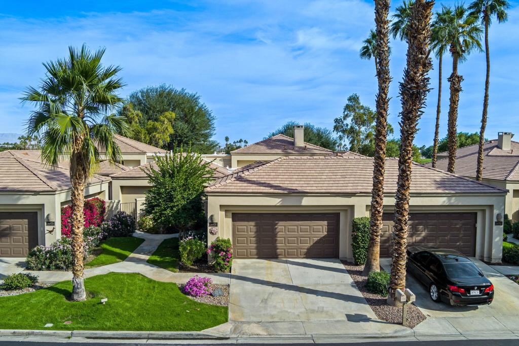 54938 Oak Tree A26