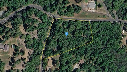 Photo of 18200 Toyon Road, Pine Grove, CA 95656 (MLS # AR26139799)