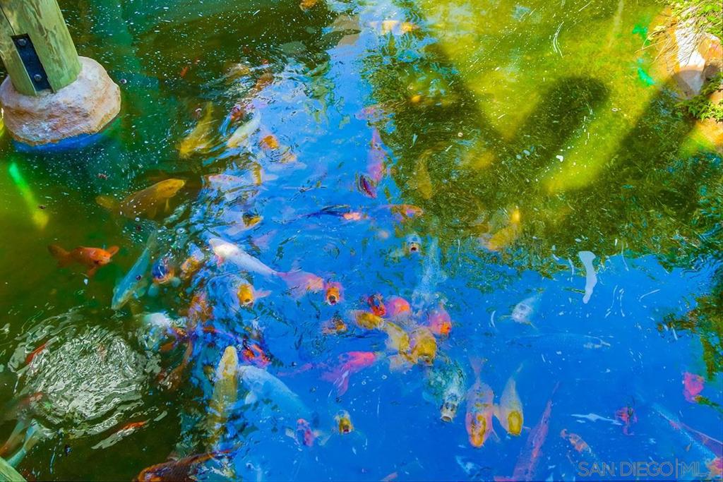 Oceanside - Residential