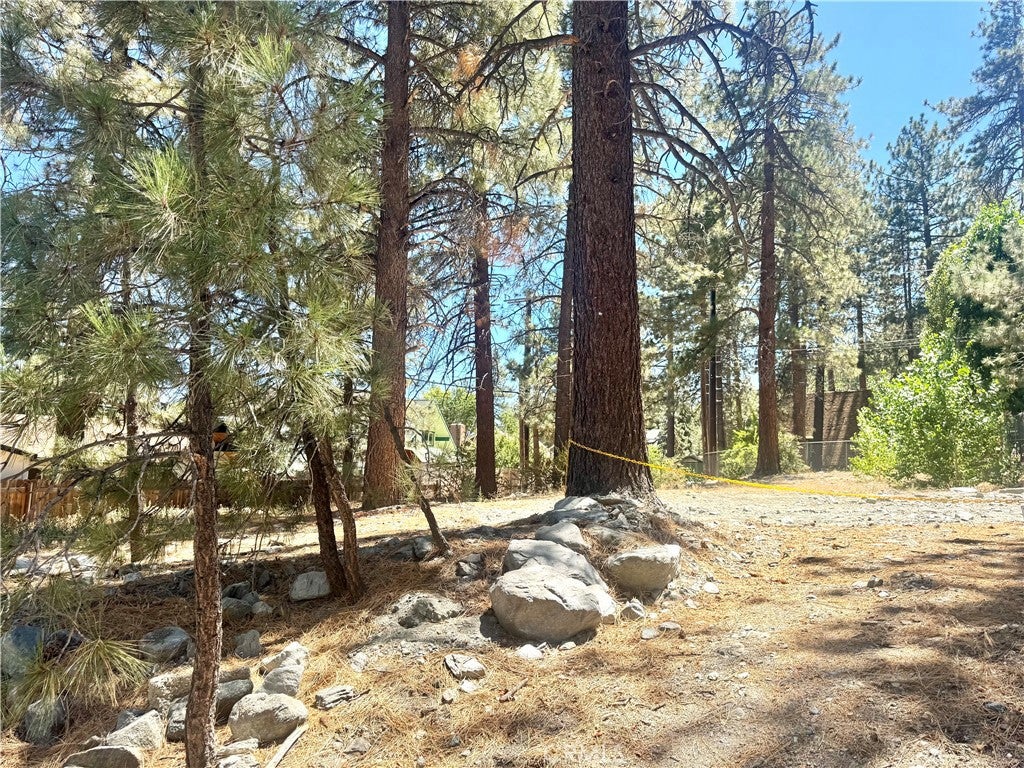 5357 Orchard