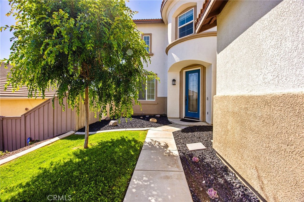 31893 Vinewood Court