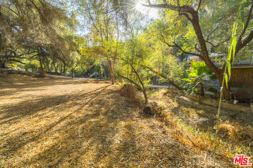 Tranquil Lot with Seasonal Creek and Oak Trees. Discover a serene slice of nature in the heart of Topanga. This unspoiled parcel, located just off Topanga Canyon Boulevard, features a seasonal creek, mature oak trees, and a peaceful, woodsy setting. Ideally situated between Malibu's beaches and the San Fernando Valley, the lot offers privacy, charm, and a rare opportunity to own land in one of Los Angeles's most storied and sought-after communities. Whether you're looking for a nature retreat, a long-term investment, or a foothold in Topanga Canyon, this property invites imagination. Buyer to independently verify zoning, build-ability, and all potential uses. Seller financing available for qualified buyers: 7.5% interest-only payments for up to 5 years. Submit all offers.