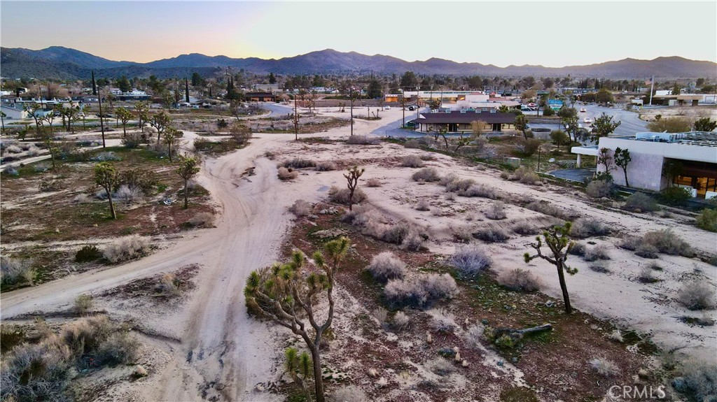 1.6 ACRE HIGH VISIBILITY AND GREAT POTENTIAL, COMMERCIAL VACANT LAND WITH POWER, WATER AND SEWER. IDEALLY, LOCATED AT CORNER OF TWENTYNINE PALMS HWY AND 247 HWY, CLOSE TO AIRPORT, IN BUSINESS DISTRICT NEXT TO CHASE BANK AND KOBBOB RESTAURANT. .OWNER FINANCING