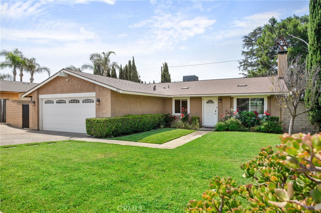 10113 Hemlock Street