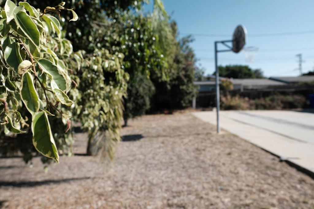 Lemon Grove - Residential