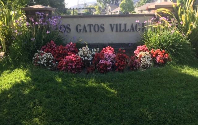 Los Gatos Village - Residential