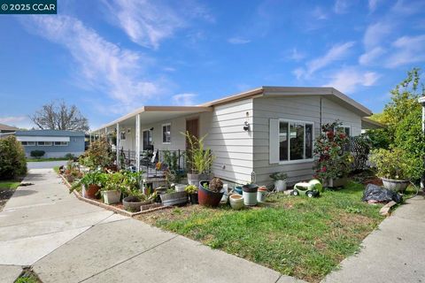 Photo of 2031 Dalis Drive Dr, Concord, CA 94520 (MLS # 41094288)