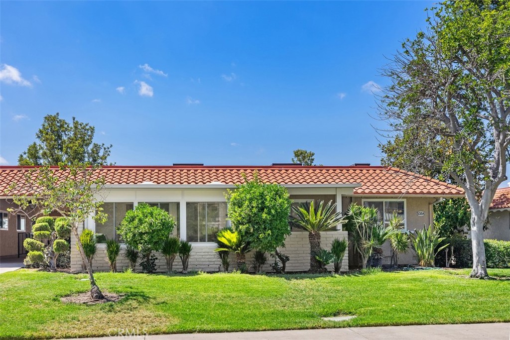 5354 Algarrobo P
