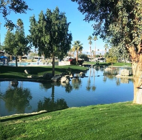 Photo of 84136 Ave 44, #768 Ave, Indio, CA 92203 (MLS # 219151955DA)