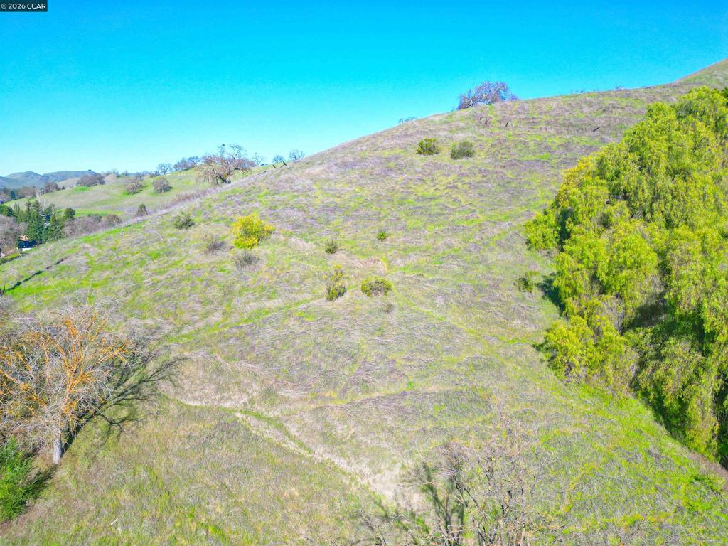 2590 Caballo Ranchero Dr