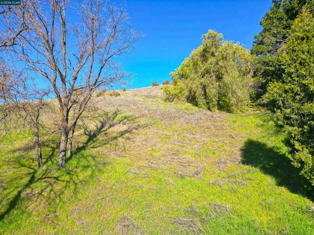 2590 Caballo Ranchero Dr