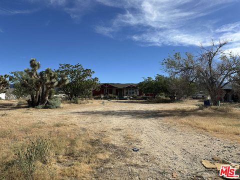Photo of 32049 213th Street, Llano, CA 93544 (MLS # 26816591)