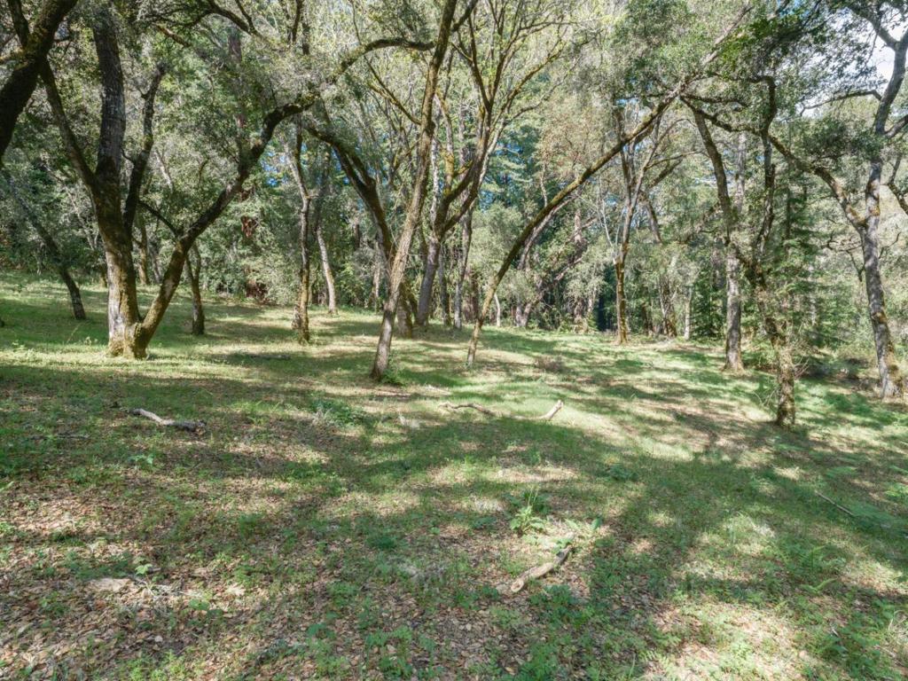 Located in Santa Lucia Preserve gated community, this 34.4 acre site offers a sense of serenity, privacy and connection to nature. Bordered by redwood trees, this parcel offers 3.4 acres building envelop to accommodate a main residence, and ADU and pool option. The preserve is a private 20,000 acre community limited to 300 owners and also home to the top golf course by Tom Fazio. The community offers multiple amenities that includes scenic trails, equestrian center, pool, tennis, pickle ball courts, fitness center. Water, Electricity and Fiber optic cables are available at the homesite.