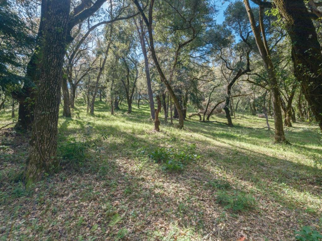 35000 Robinson Canyon Road