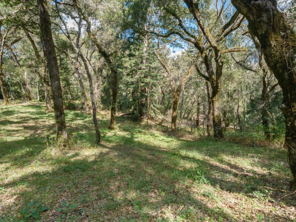 35000 Robinson Canyon Road