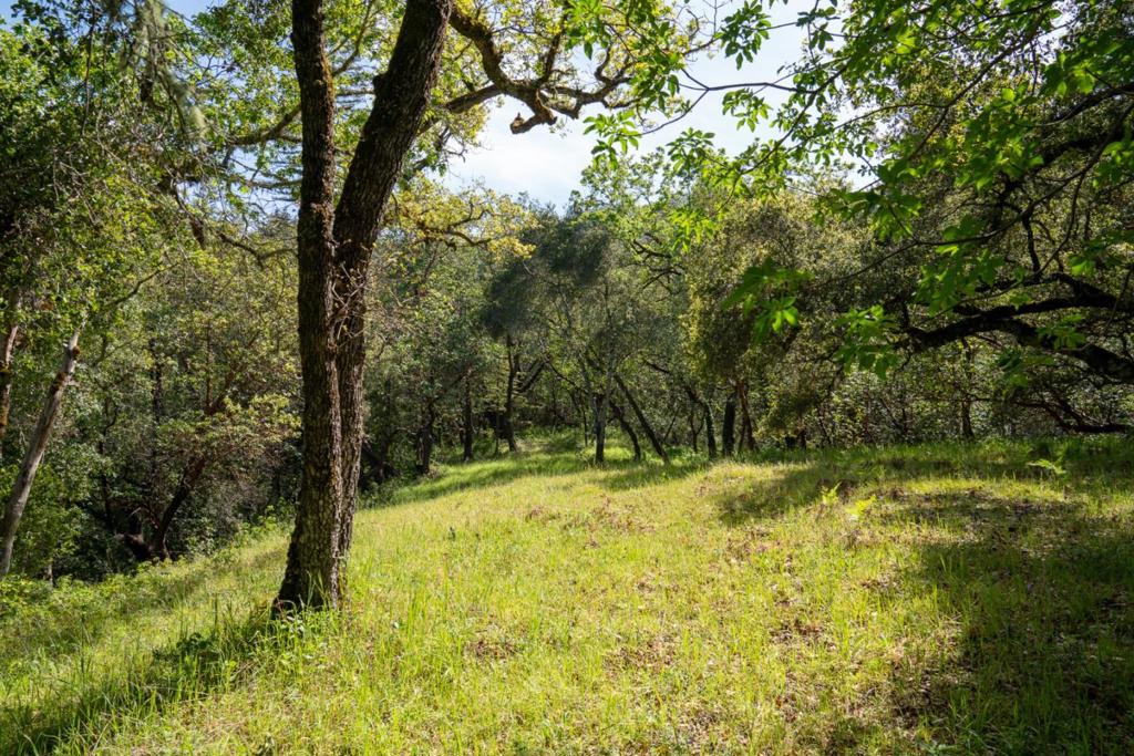 35000 Robinson Canyon Road