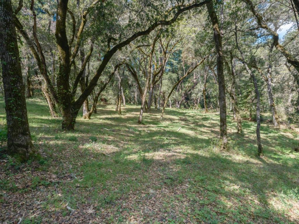 35000 Robinson Canyon Road