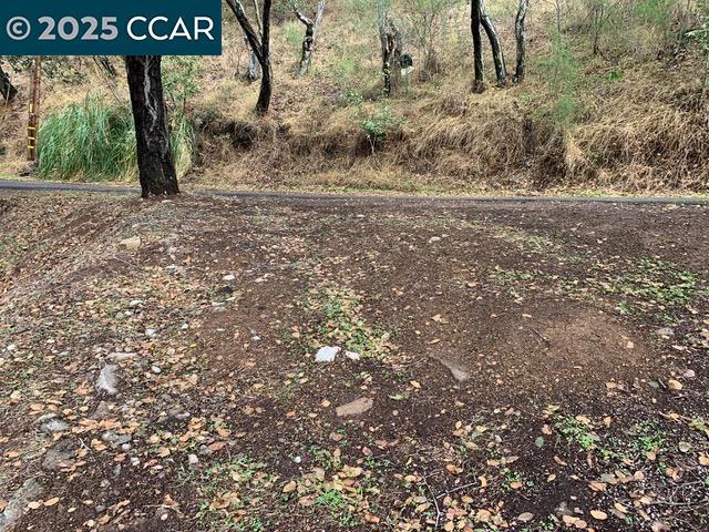 Build a beautiful home on this great semi-wooded lot located in a desirable neighborhood in Oakland. (Buyer to confirm buildability with the City, Fire Dept. etc.) Zoned Multi-family so you may be able to build a Duplex, live in half and rent the other half. This lot is For Sale and the Lot next to it is For Sale also. Both lots to be sold together. Both lots are a down-slope. This is a great opportunity.