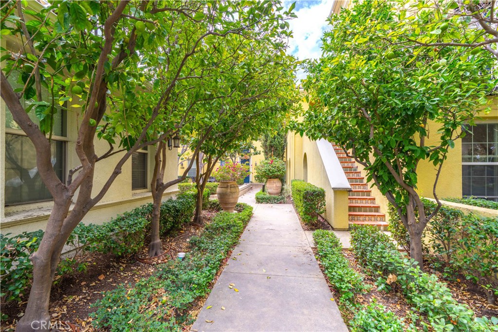 Woodbury - Residential Lease