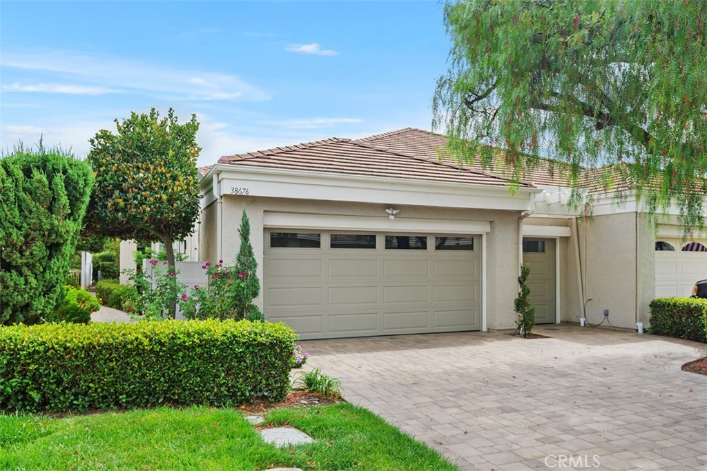 38676 Bears Paw Drive