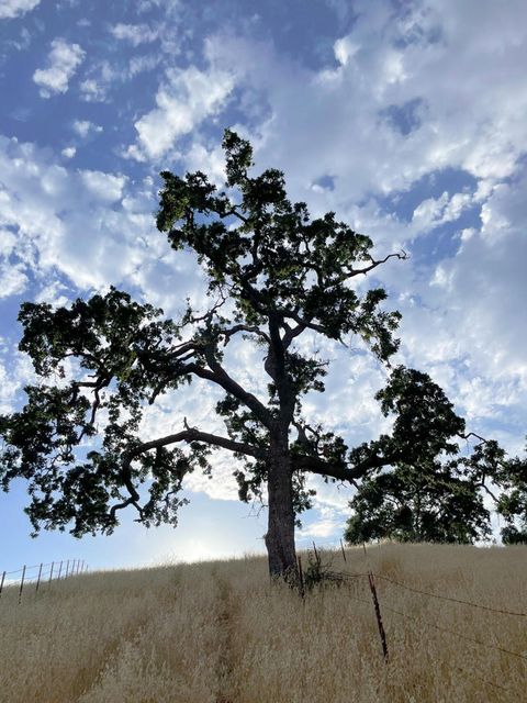 Tiny photo for 0 Hwy 41, Templeton, CA 93465 (MLS # 219102440DA)