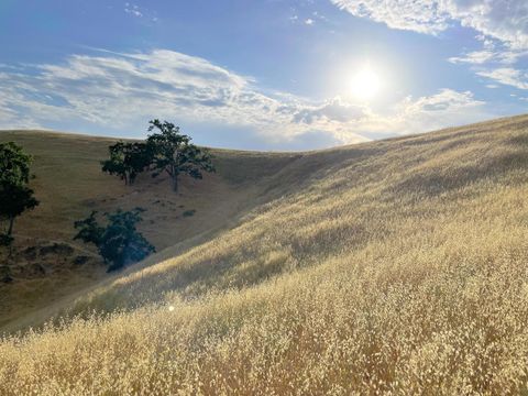 Tiny photo for 0 Hwy 41, Templeton, CA 93465 (MLS # 219102440DA)