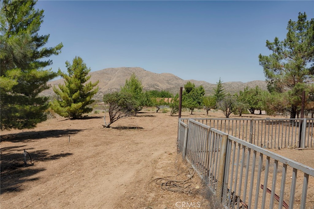 Custom Acton (CACTO) - Residential