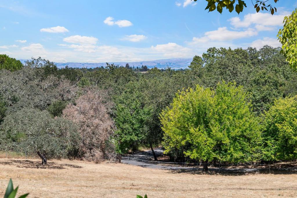 309 Olive Hill Lane