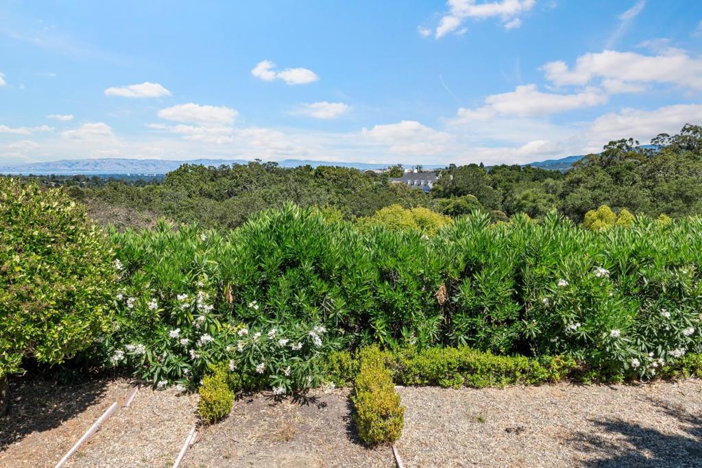 309 Olive Hill Lane