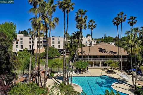 Photo of 330 N Civic Dr Dr #203, Walnut Creek, CA 94596 (MLS # 41133165)