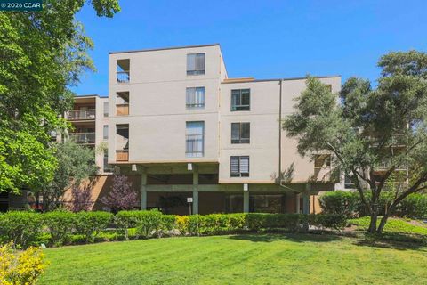 Photo of 330 N Civic Dr Dr #203, Walnut Creek, CA 94596 (MLS # 41133165)