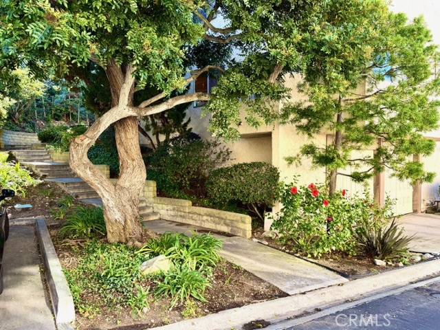 28124 Ridgethorne Court