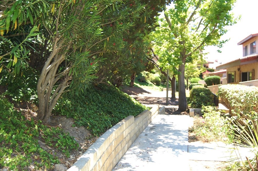 28124 Ridgethorne Court