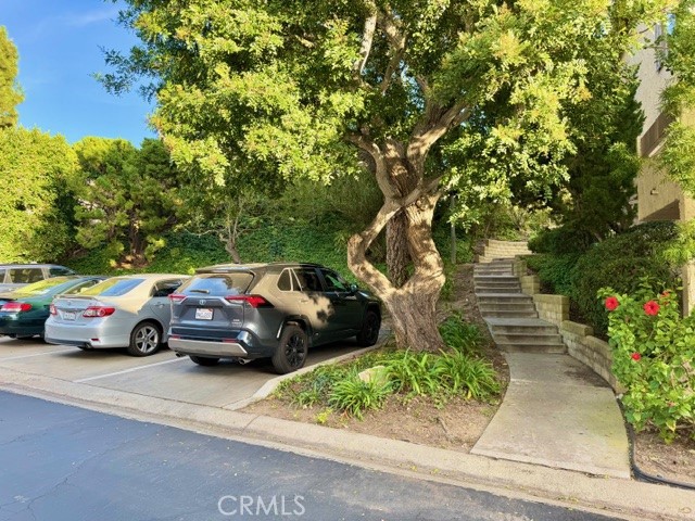 28124 Ridgethorne Court