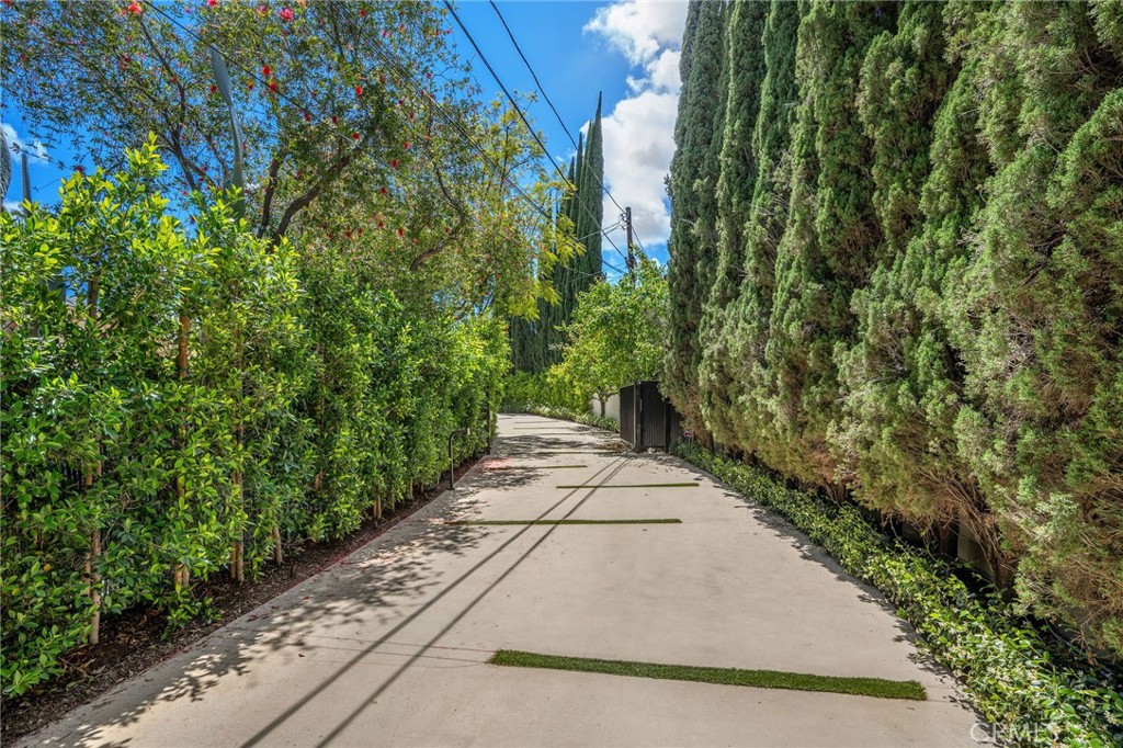 16988 Strawberry Drive